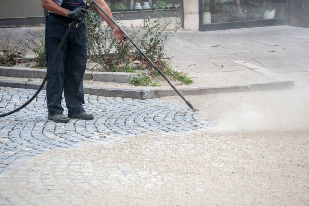 Animal Enclosure Cleaning in Butler, NJ